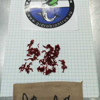 КОРМОВОЙ МОТЫЛЬ РС 26 - Заготовка водных биоресурсов "Рыболов-Спортсмен"