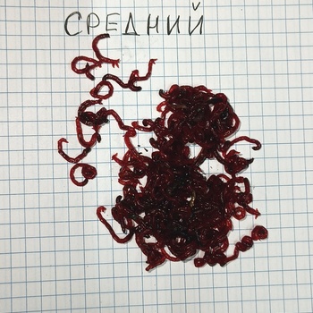 СРЕДНИЙ МОТЫЛЬ без артикула - Заготовка водных биоресурсов "Рыболов-Спортсмен"