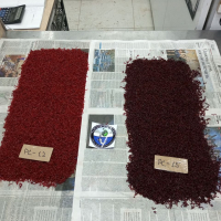 Фото в сравнении темного и красного крупного мотыля - Заготовка водных биоресурсов "Рыболов-Спортсмен"