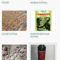 Фото мотыля по артикулам находятся в разделе Продукция / живые корма - Заготовка водных биоресурсов "Рыболов-Спортсмен"